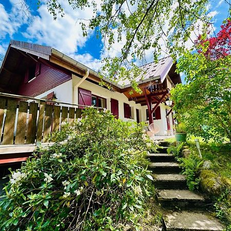 Les Cimes Blanches Cledicihome Chalet 10 Pers Spa & Grand Terrain 4 Minutes Des Pistes Ла-Бресс Экстерьер фото