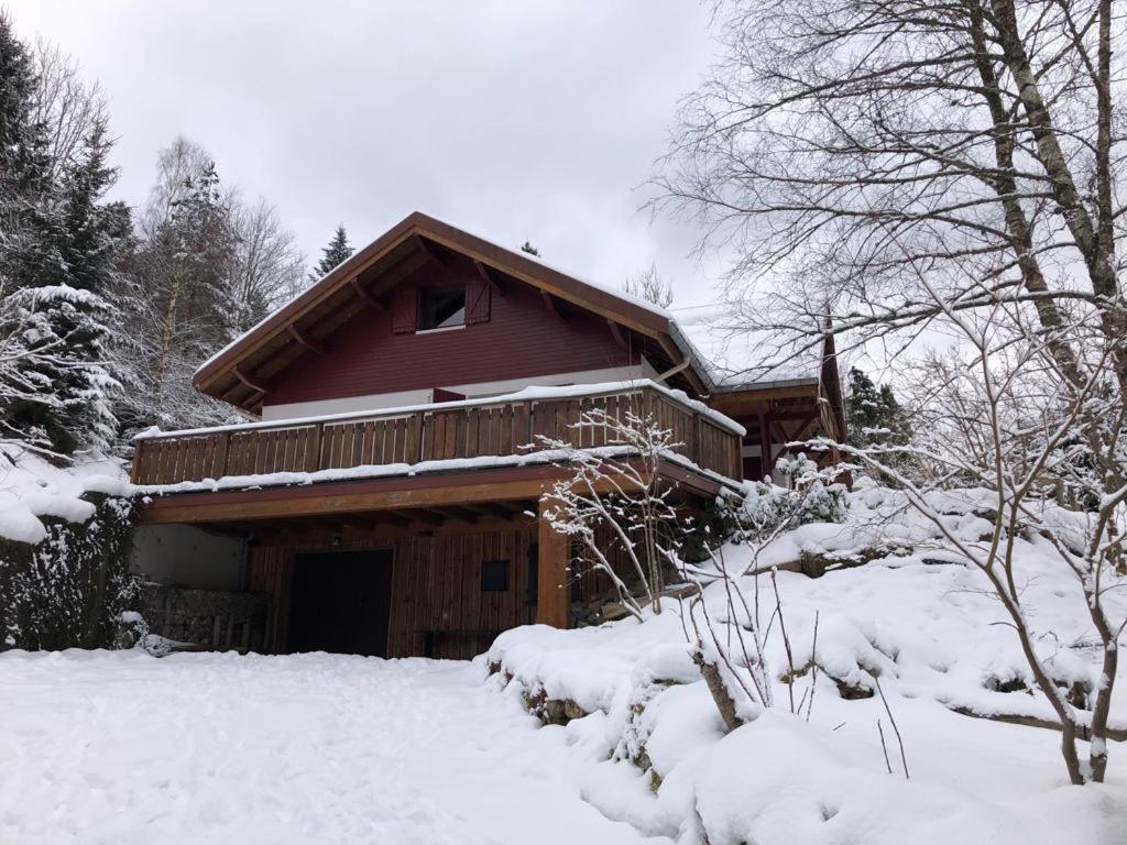 Les Cimes Blanches Cledicihome Chalet 10 Pers Spa & Grand Terrain 4 Minutes Des Pistes Ла-Бресс Экстерьер фото