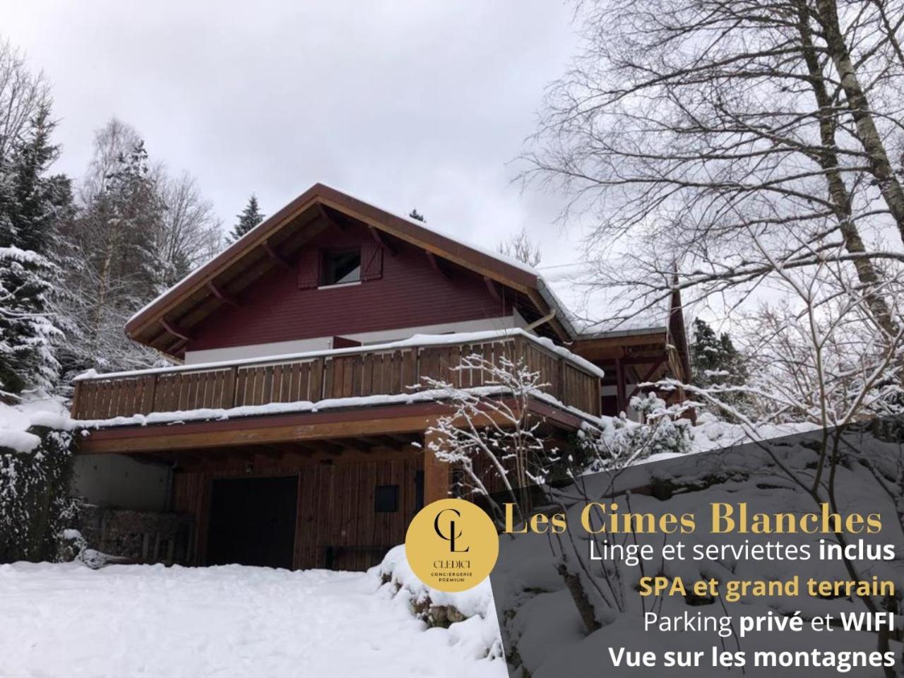 Les Cimes Blanches Cledicihome Chalet 10 Pers Spa & Grand Terrain 4 Minutes Des Pistes Ла-Бресс Экстерьер фото